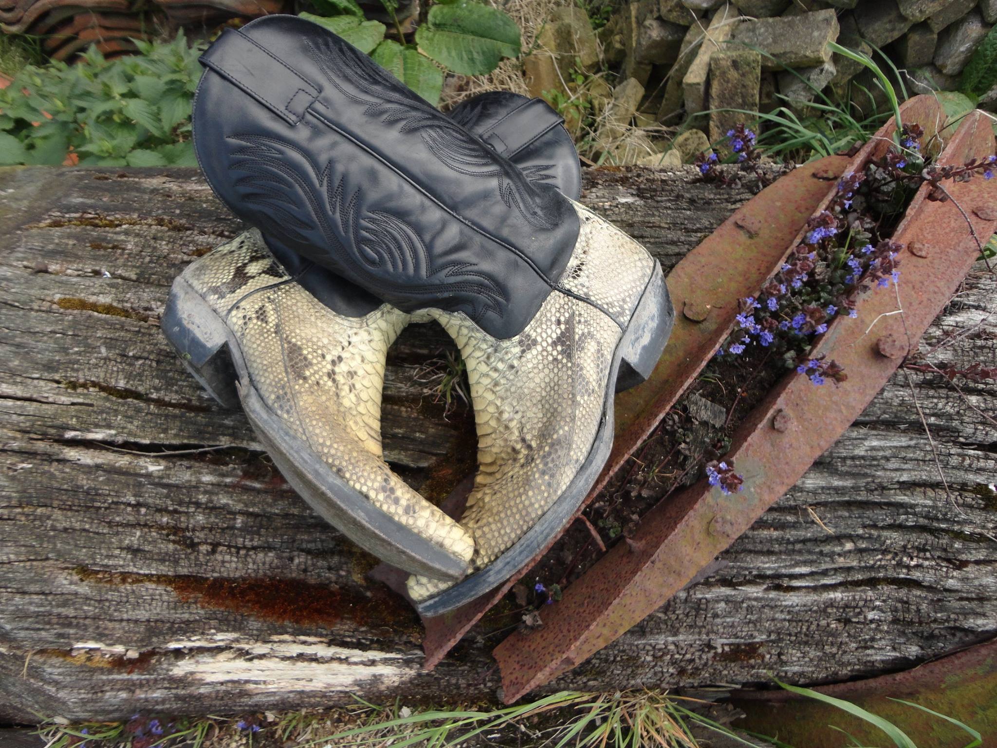 Vintage slangenleren Sendra boots